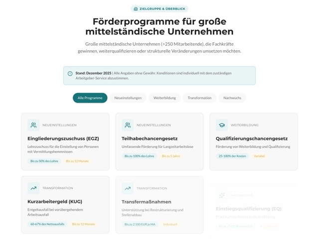Sechs Förderprogramme als Karten – vom Eingliederungszuschuss bis zur Einstiegsqualifizierung – darüber Filter nach Neueinstellung, Weiterbildung, Transformation und Nachwuchs.